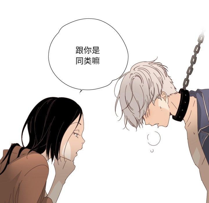 纯洁之罪第12話