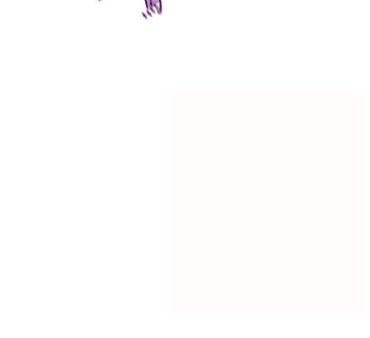 男人配额制第1话-俏丽女护士的特别服务