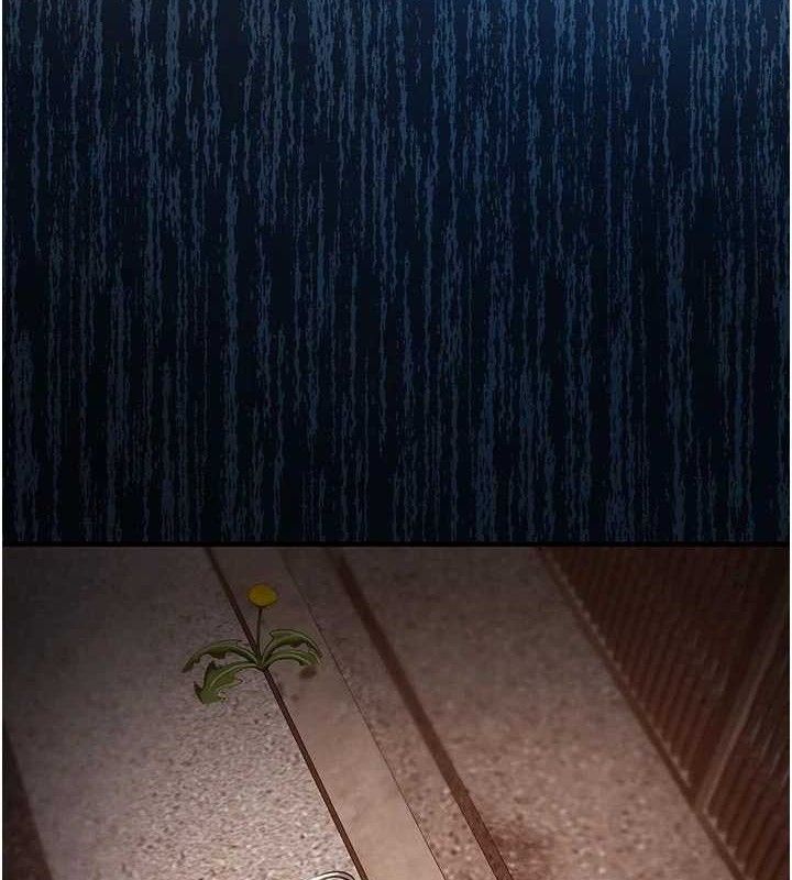 衣锦还乡第11話-訓練狗狗大小便