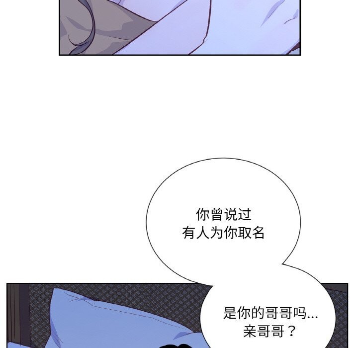 吉賽兒之血第17話