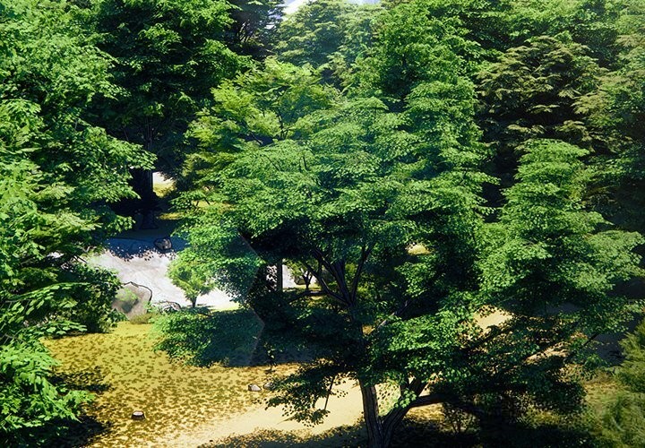 男人稀缺的异世界第1話