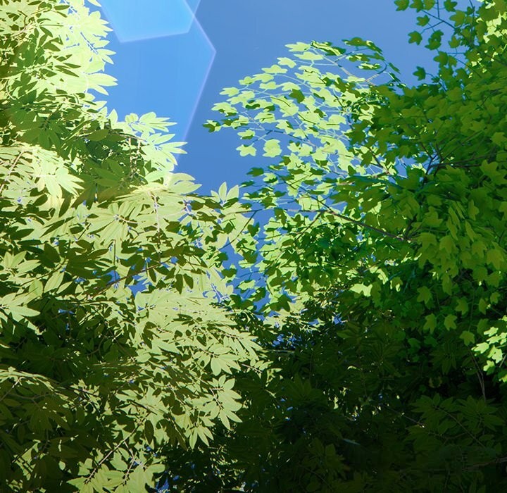 男人稀缺的异世界第1話