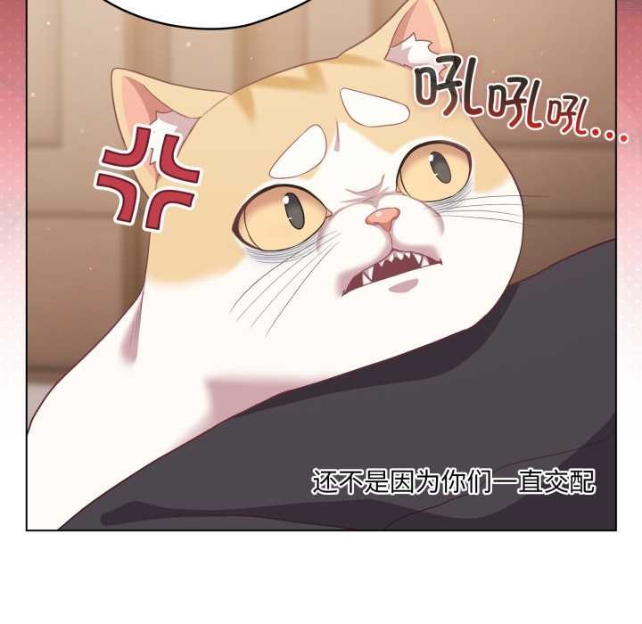 喵来的恋爱第38話