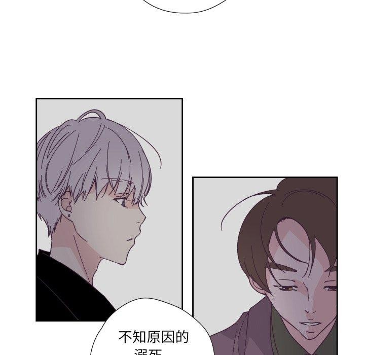 纯洁之罪第24話