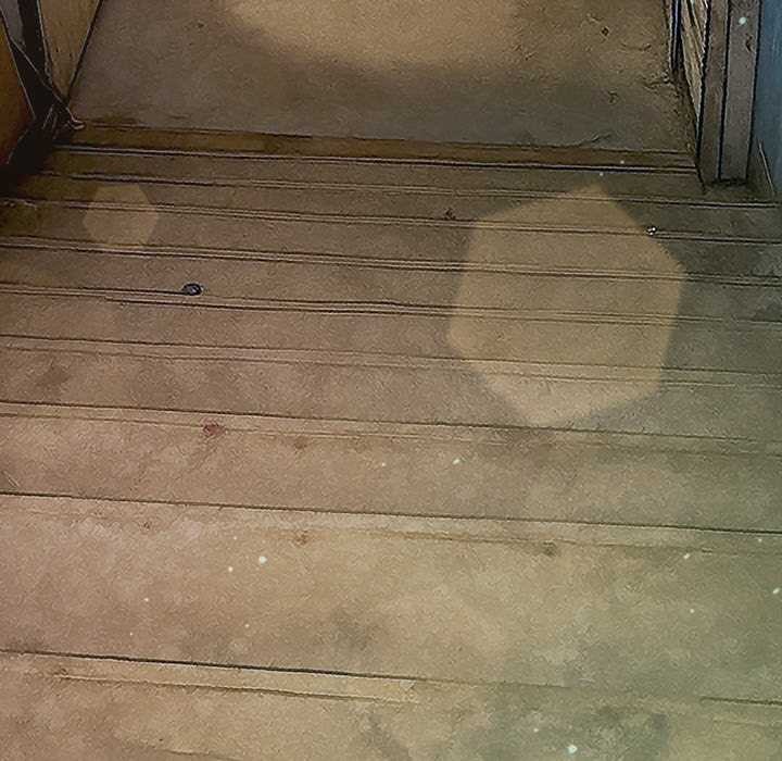 難纏小惡女第275話