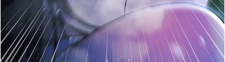 极乐泳池趴第1話-上流社會的隱密派對