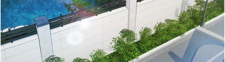 极乐泳池趴第1話-上流社會的隱密派對