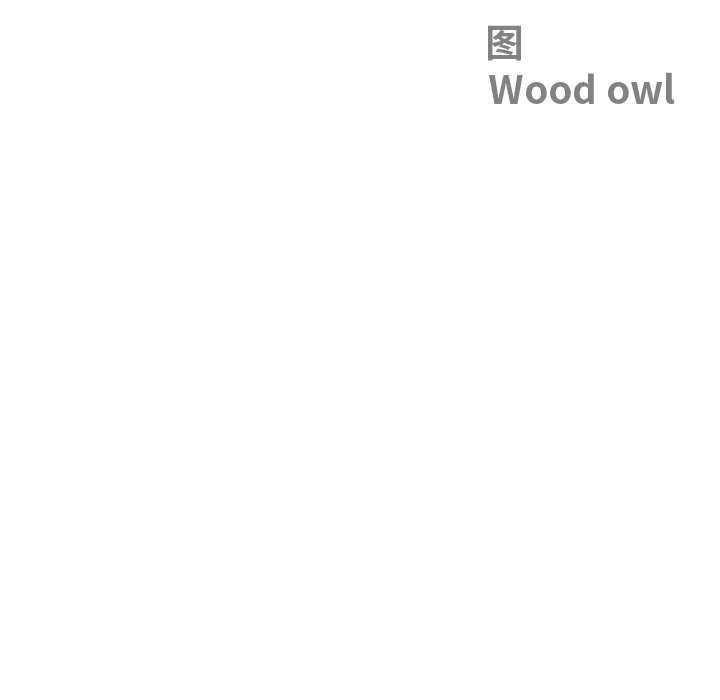 最强男人第46話