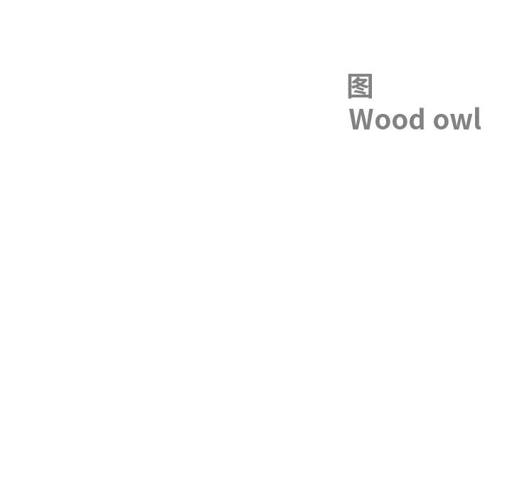 最強男人第50話