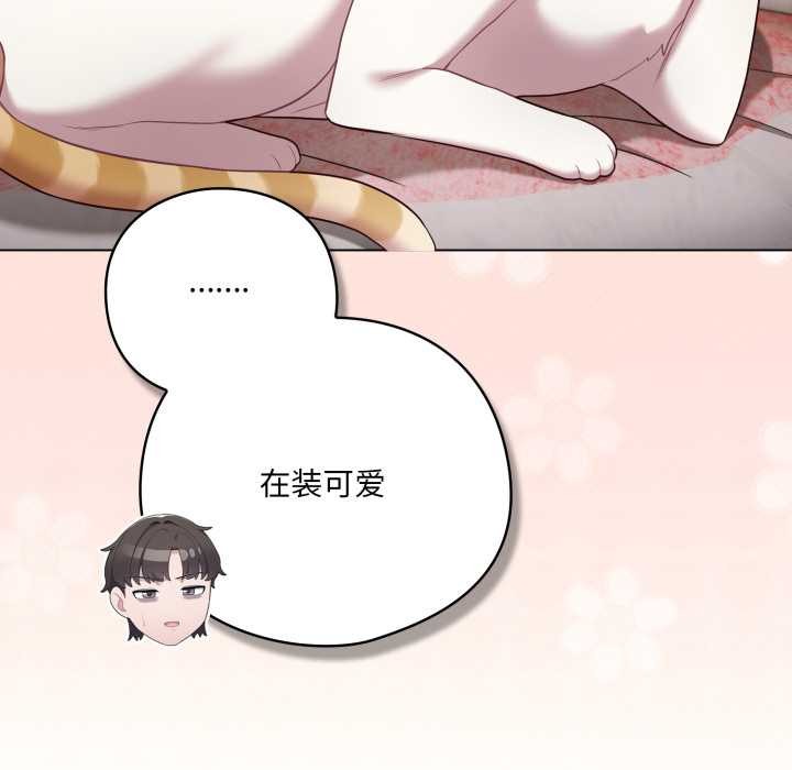 喵来的恋爱第46話