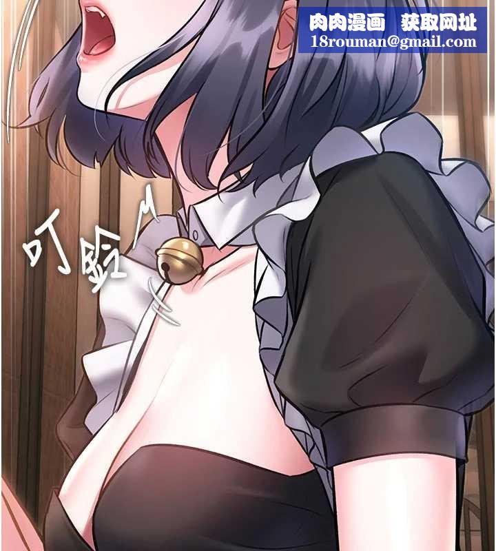 特色新视界第17話-馴服野貓守則