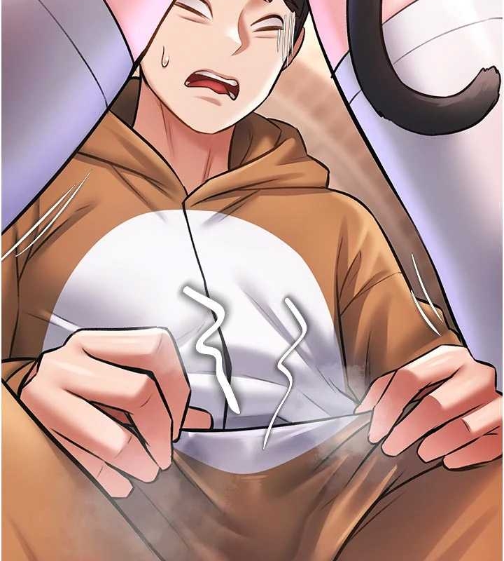 特色新视界第17話-馴服野貓守則