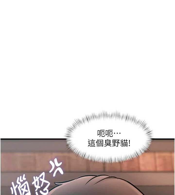 特色新视界第17話-馴服野貓守則