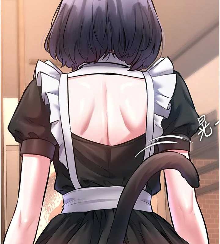 特色新视界第17話-馴服野貓守則