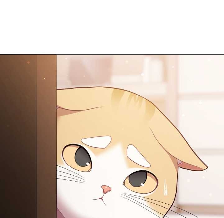 喵来的恋爱第47話