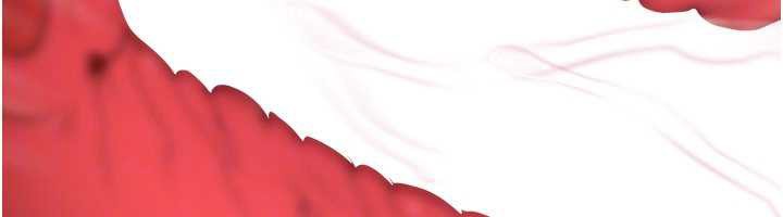 足球型男脱单指南第43話-公布奧運代表隊名單