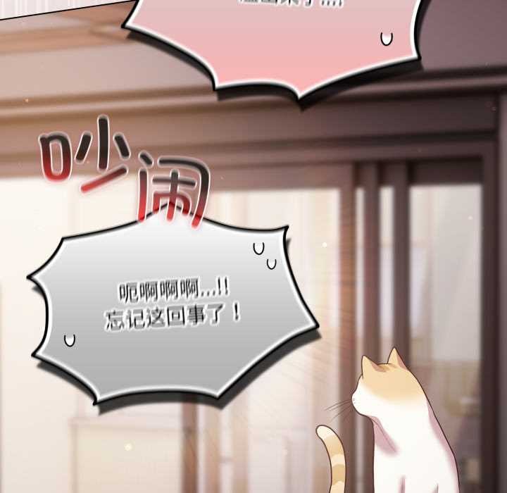 喵来的恋爱第49話