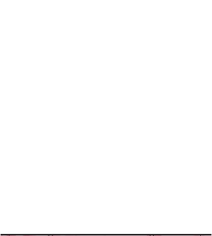 垃圾堆捡到宠物系萌妹最終話-相伴一生的承諾