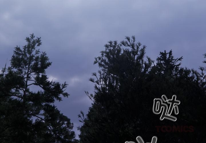 傻瓜病毒第54話