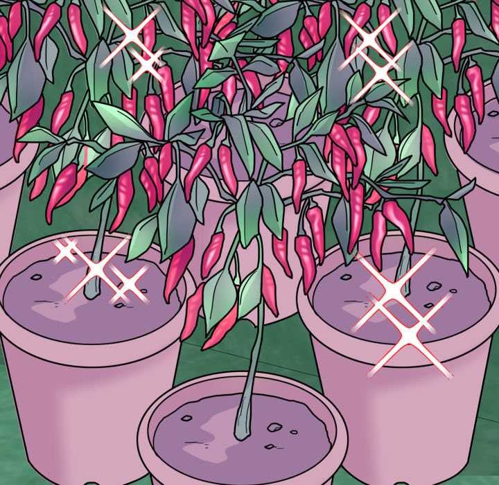 愛的調味課第10話