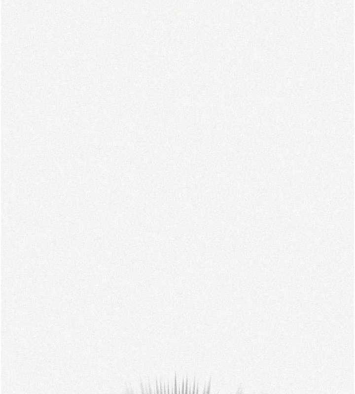 秘密教学第300話-與褲襠的巨獸搏鬥