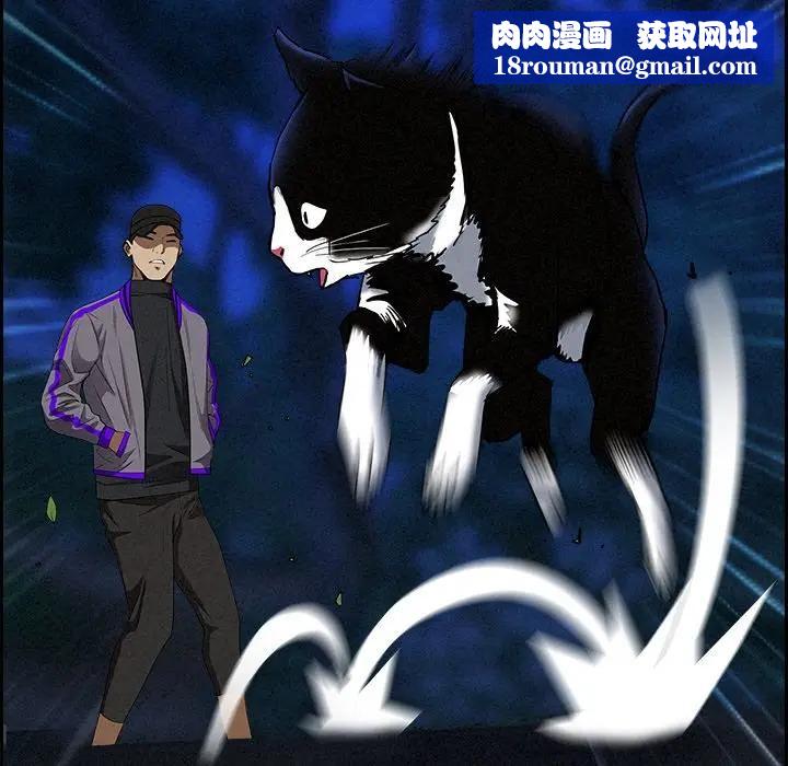 贵妇的专属保镳第12话