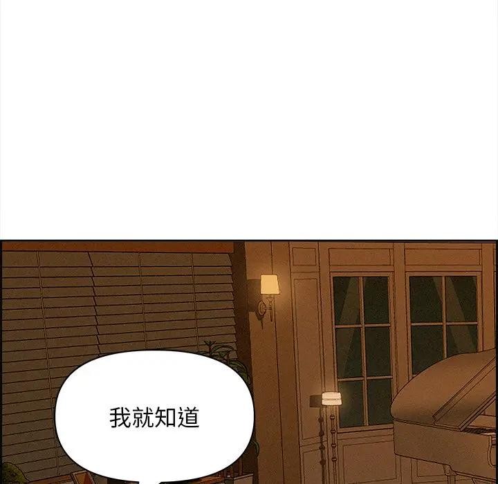 贵妇的专属保镳第13话