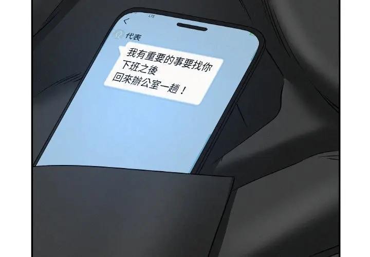 贵妇的专属保镳第48话