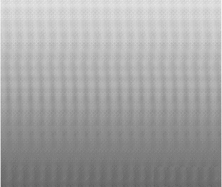 男人配額制第37話-和大姐姐的私密談話