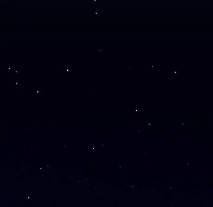 与众不同的兄妹第40話