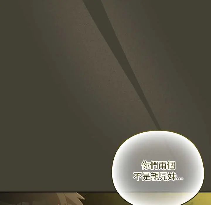 与众不同的兄妹第58話