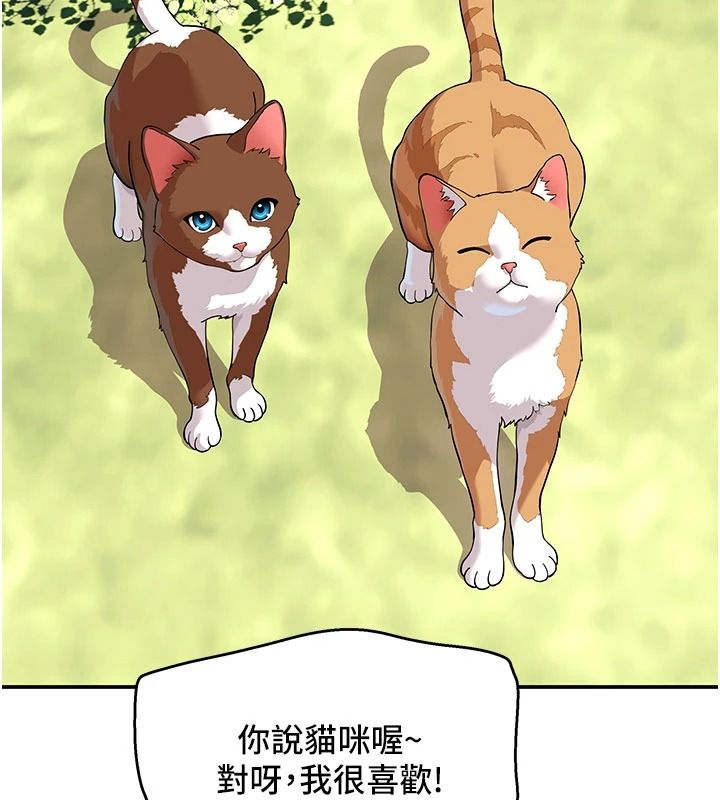 斯文坏猫猫第15話-周旋三女之間