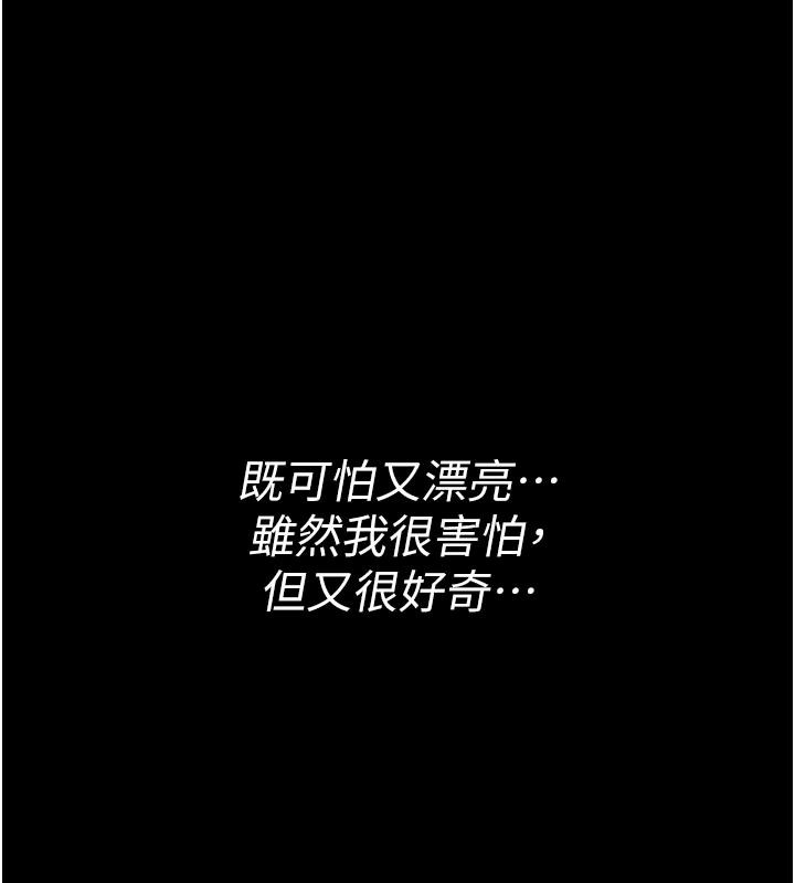 义父第33話-姐姐們帶妳浪